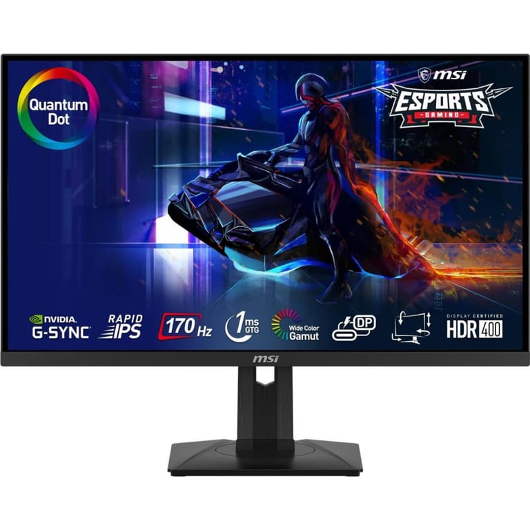 MSI Optix G274QPF-QD 27" 2K HDR 400 Rapid-IPS Quantum DOT 170Hz 1ms Nvidia G-Sync Adjustable Stand & USB C