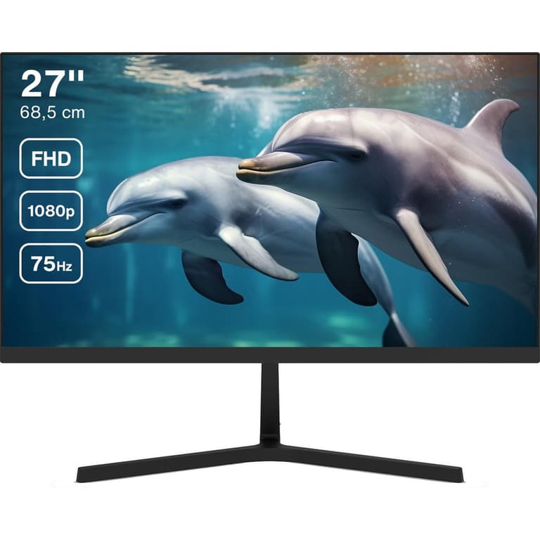 Dahua LM27-B201S 27” IPS Full HD 100Hz Anti-blue Light Design 99% sRGB HDMI & VGA Interface w/ Speakers & 3 Years Warranty - Black