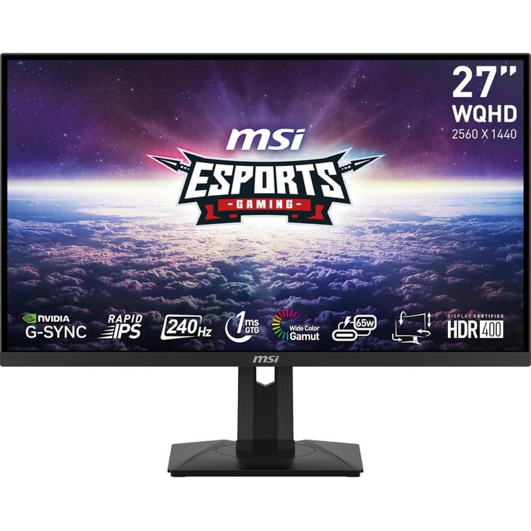 MSI G274QPX 27" 2K HDR Rapid-IPS 240Hz 1ms HDR 400 NVIDIA Night Vision G-Sync Compatible Adjustable Stand w/ HDMI 2.0 & DisplayPort & USB C