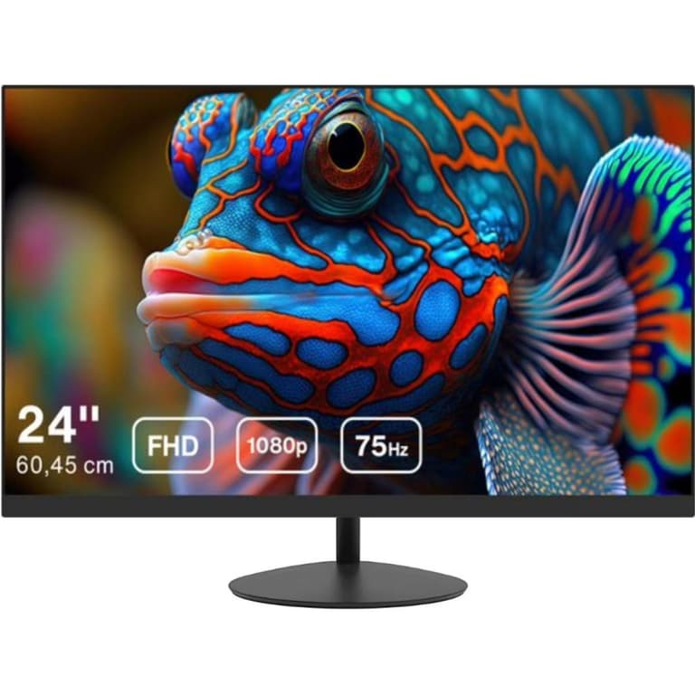 Dahua LM24-A200M 24” Full HD 75Hz Anti-Blue Light Eye-Protective Micro Bezel Design w/ HDMI & VGA Interface - Black