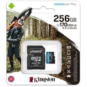 Kingston 256GB microSDXC Canvas Go Plus 170MB/s Read UHS-I C10 U3, V30 Memory Card product image