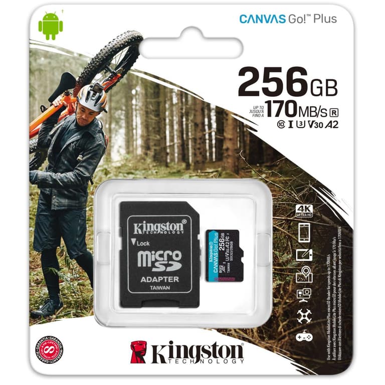 Kingston 256GB microSDXC Canvas Go Plus 170MB/s Read UHS-I C10 U3, V30 Memory Card