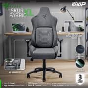 Razer Iskur XL Fabric Ergonomic Lumbar Support System Ultra-Soft Spill-Resistant Fabric Foam Cushions 4D Armrests - Dark Gray product image