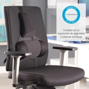 Fellowes Professional Series Ultimate Back Support 3 Memory Foam Section w/ Microban Protection - Black product image