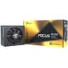 Seasonic FOCUS GX-750 750W 80+ Gold Full-Modular Fan Control in Fanless Silent & Cooling Mode product thumbnail 1