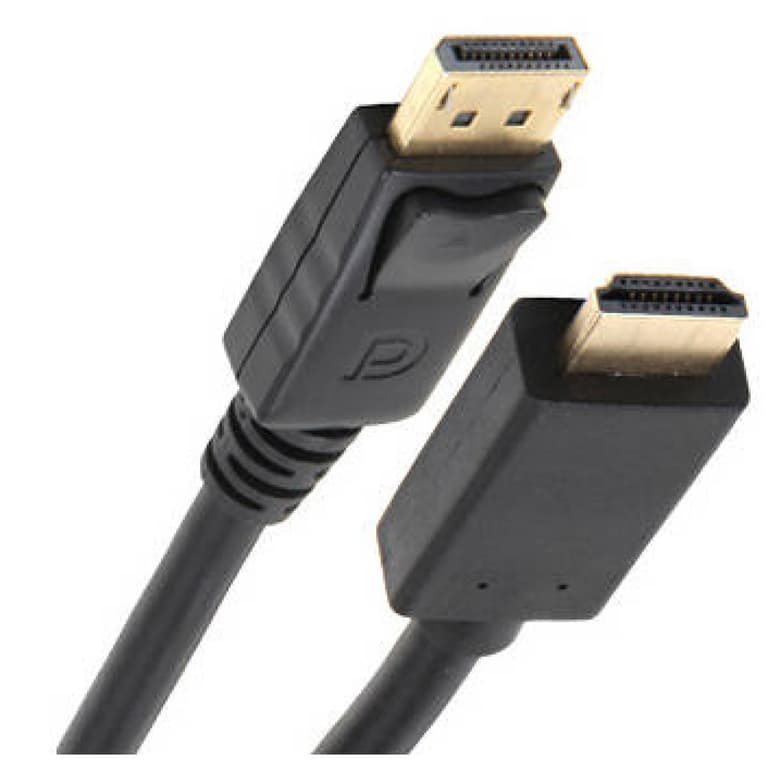 Nippon Labs DP-HDMI-10 10ft DisplayPort to HDMI Cable