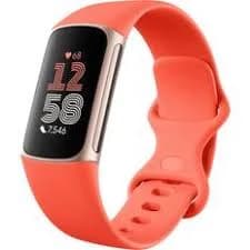 PulseBand X40 Smart Band