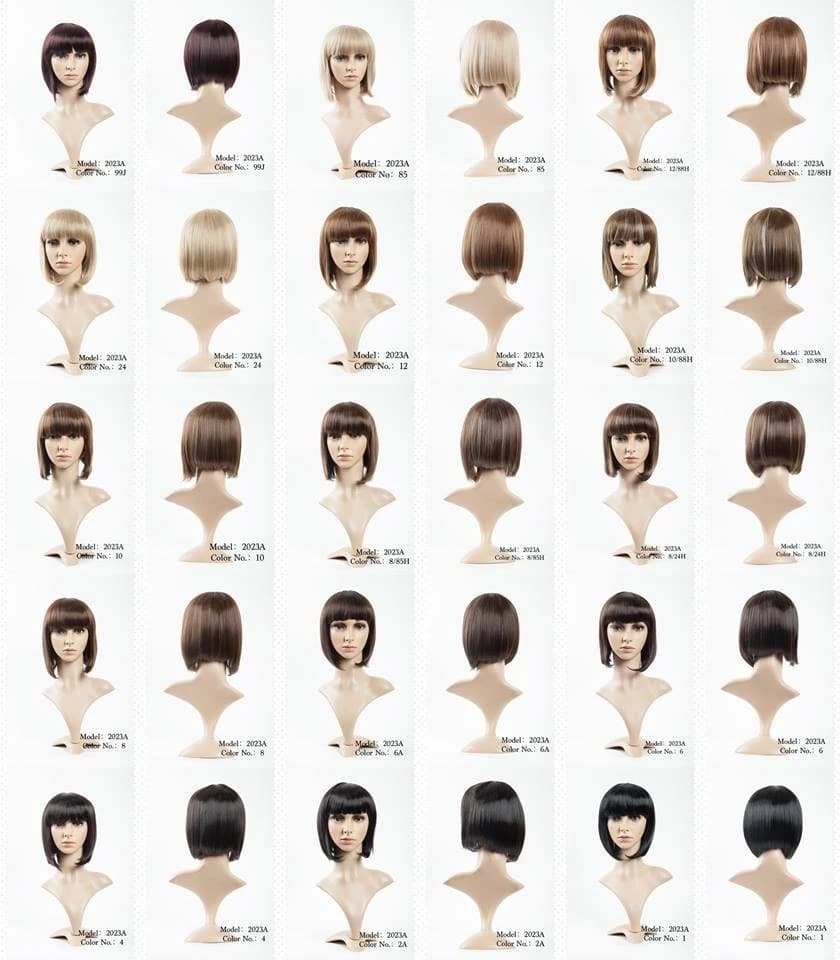 Hair Bright Synthetic Wigs Model No. 2023A