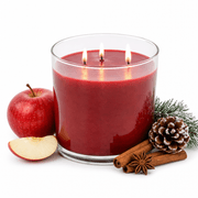 Winter Candle Apple Spice product image
