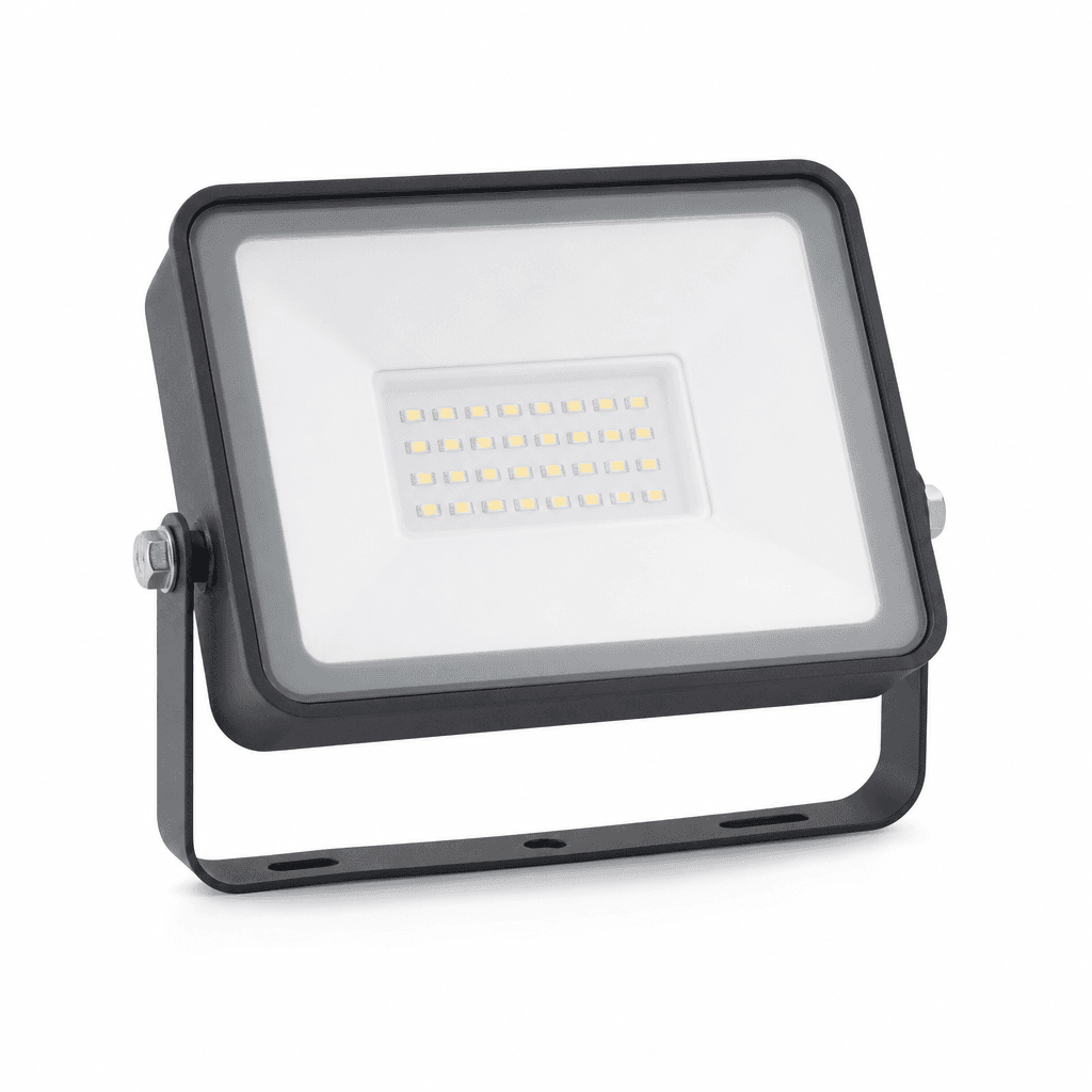 Philips Smart LED Floodlight