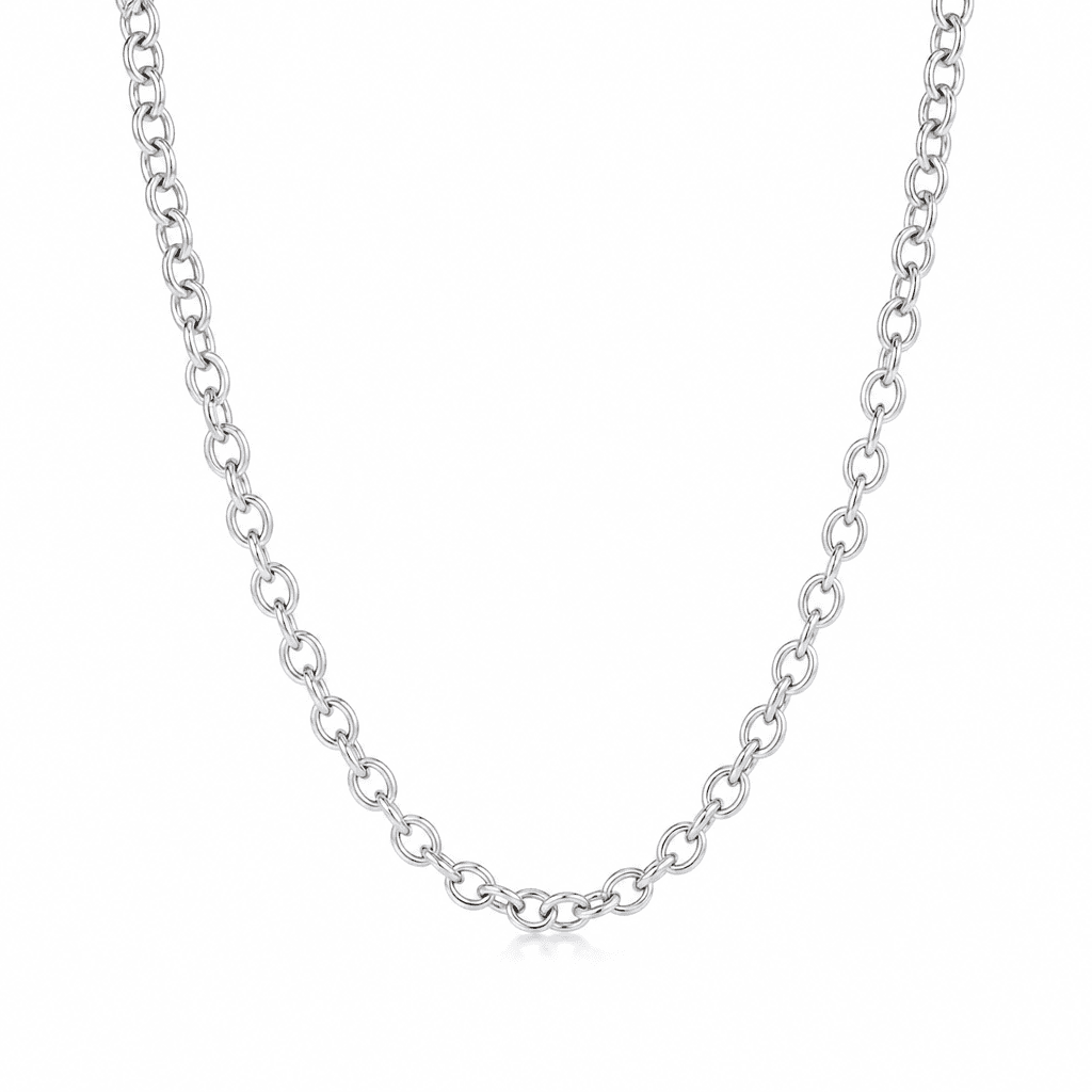 Tiffany & Co. Silver Chain Necklace