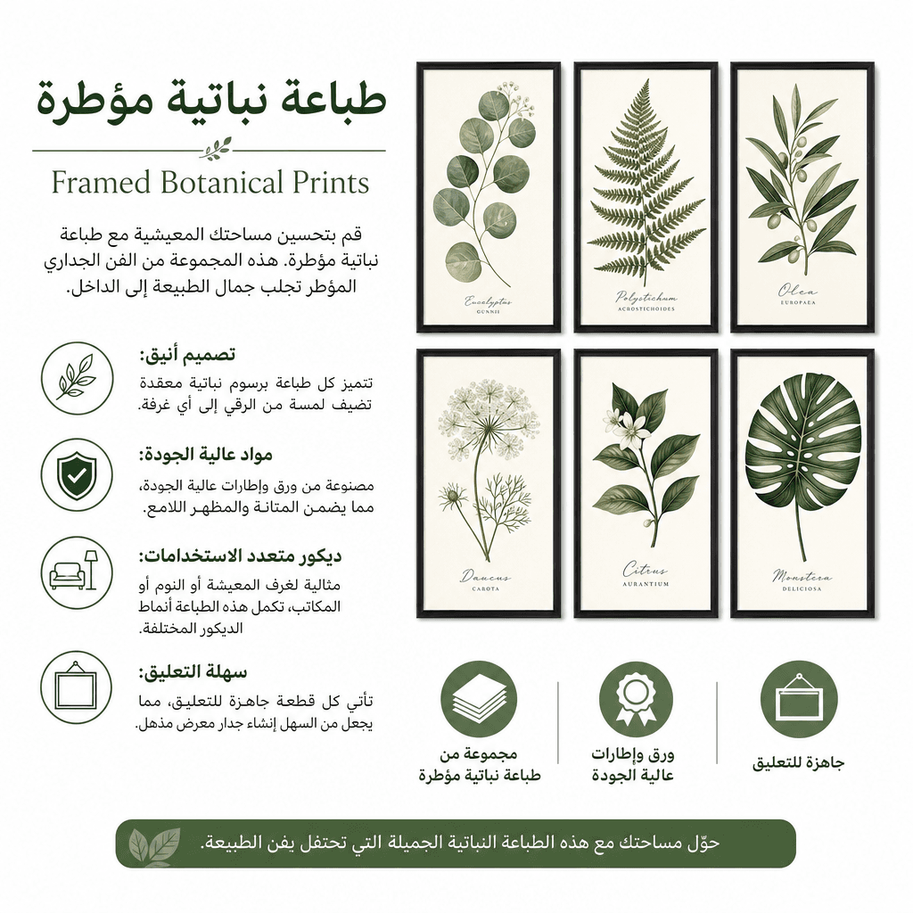 Framed Botanical Prints