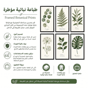 Framed Botanical Prints product image