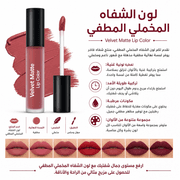 Velvet Matte Lip Color product image