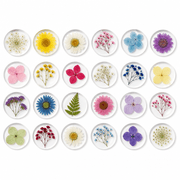 Resin Dried Flowers 24‑Pack product image