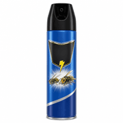 Raid Wasp & Hornet Spray product image