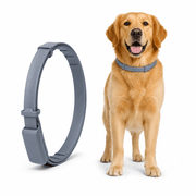 PetArmor Plus Dog Large product image