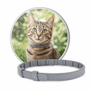 Seresto Flea & Tick Collar Cat product image
