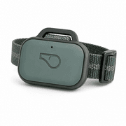 Whistle GO Explore GPS Pet Tracker product image