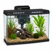 Aqueon LED Aquarium 10‑Gallon Kit product image