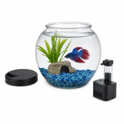 Aqueon Betta Bowl Kit product image
