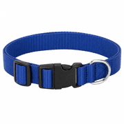 Blueberry Pet Nylon Dog Collar product image
