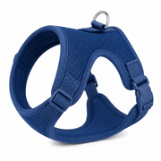 Blueberry Pet Padded Dog Harness product image
