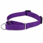 PetSafe Martingale Collar product image