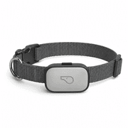 Whistle Switch Smart Collar product image