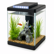 Tetra LED Cube Aquarium 3‑Gallon product image