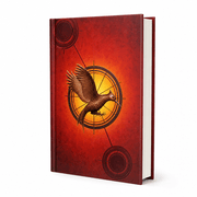 Catching Fire (Book 2) product image