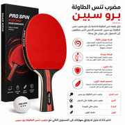 Table Tennis Paddle Pro Spin product image
