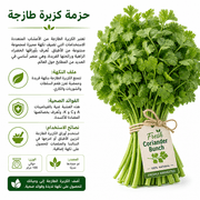 Fresh Coriander Bunch product image