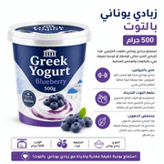 Greek Yogurt Blueberry 500g product image