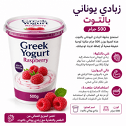 Greek Yogurt Raspberry 500g product image