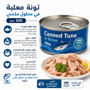 Canned Tuna in Brine 200g product image