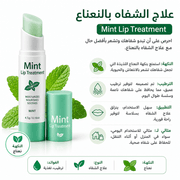 Mint Lip Treatment product image