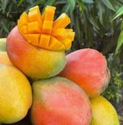 Imported Mango product image