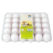 Large Egg Incubator - 30 Pieces product image