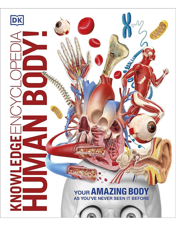Knowledge Encyclopedia Human Body!