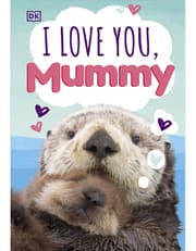I Love You, Mummy product image