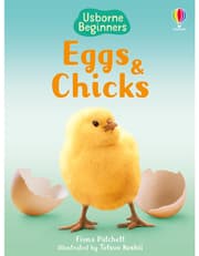 Eggs and Chicks product image