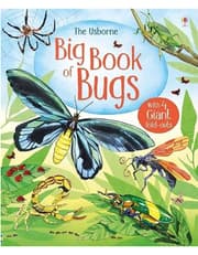 Big Book of Bugs product image