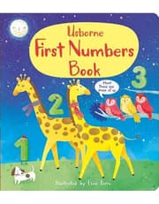 First Numbers Book product image