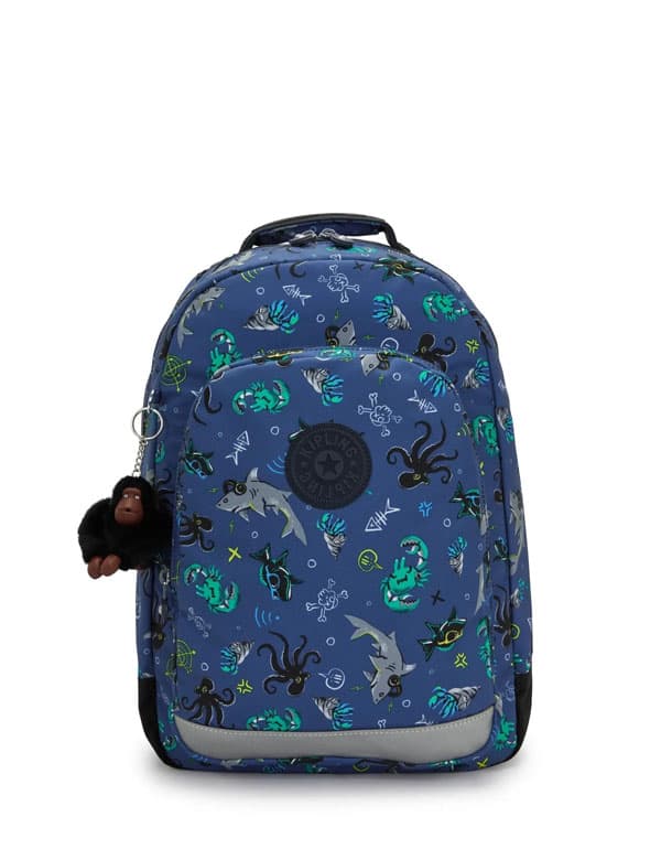 Kipling Classroom Undersea Party