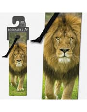 3D Bookmarks - African Lion product image
