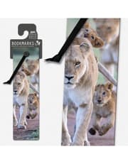 3D Bookmarks - African Lion Cubs product image