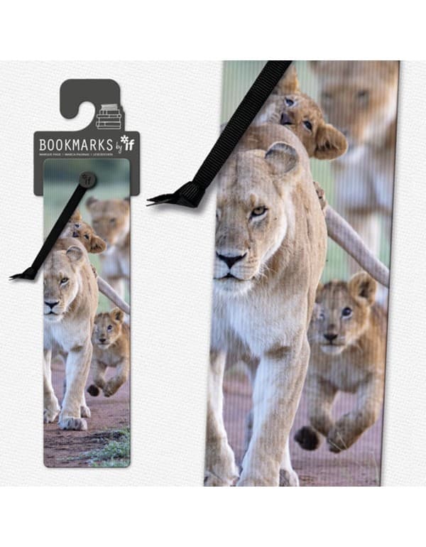 3D Bookmarks - African Lion Cubs