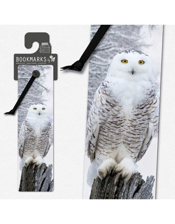3D Bookmarks - Snowy Owl