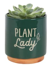 Dark Green Plant Lady Plant Pot product image
